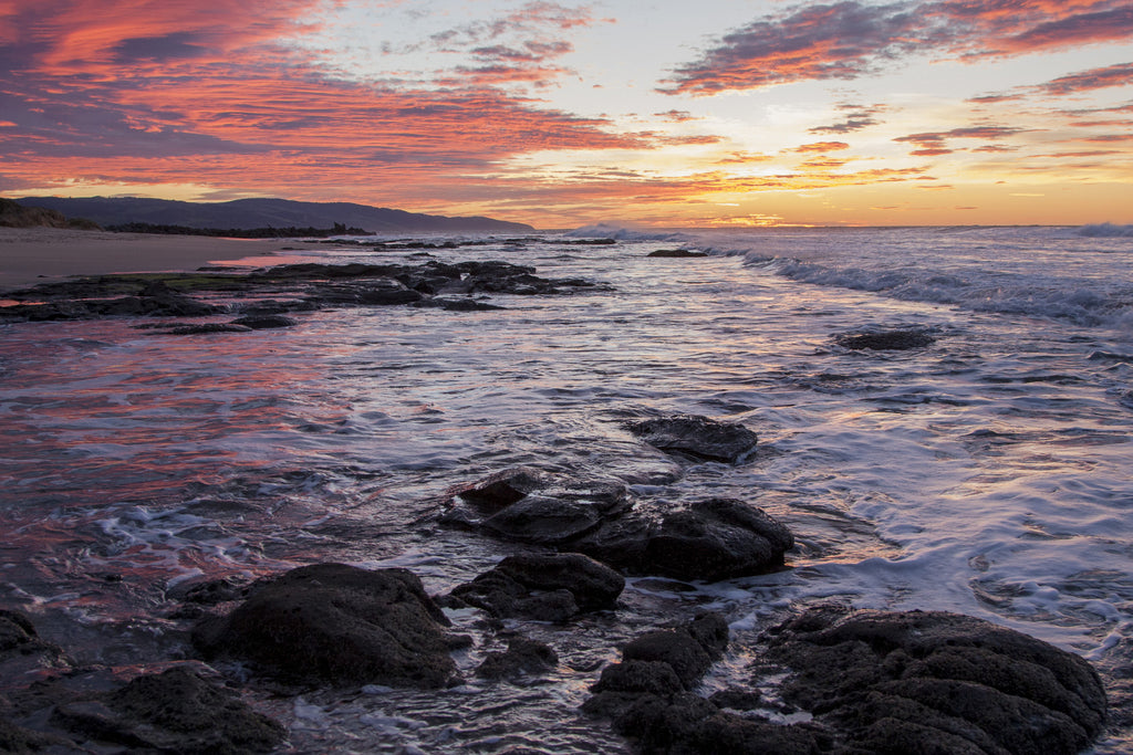 Firelight Sunrise