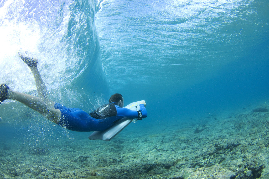Crystal Clear Duck Dive