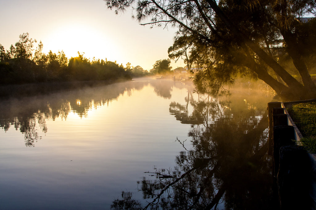 Morning Mist