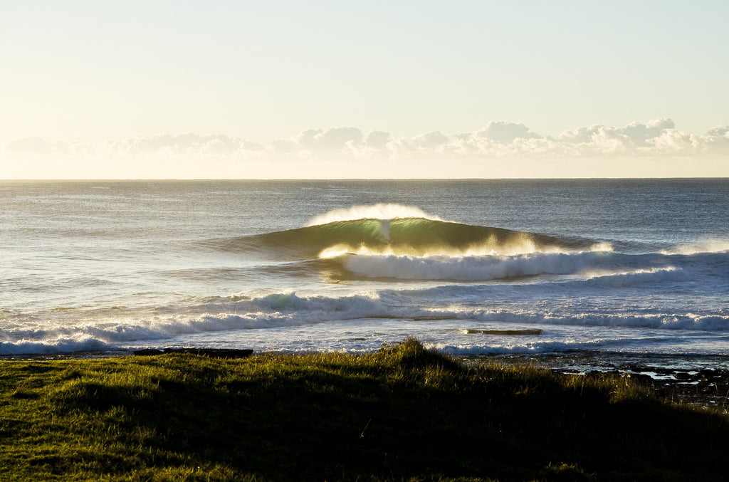 Morning Drop