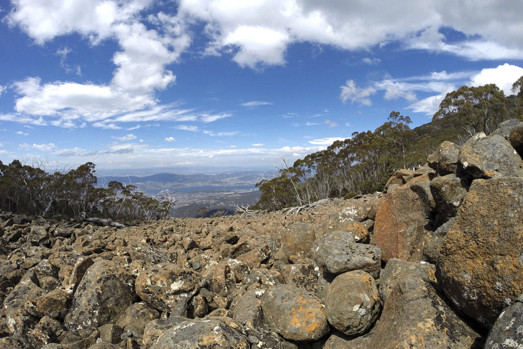 Mount Wellington
