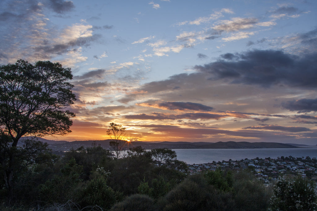 Tassie Sunrise
