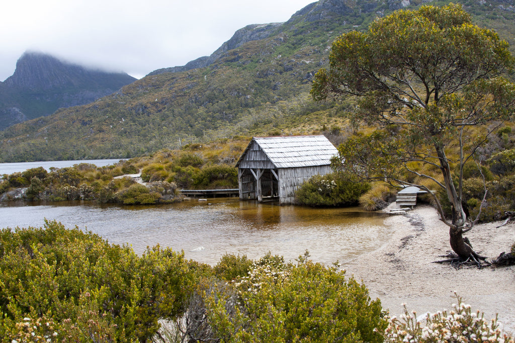 The Boathouse