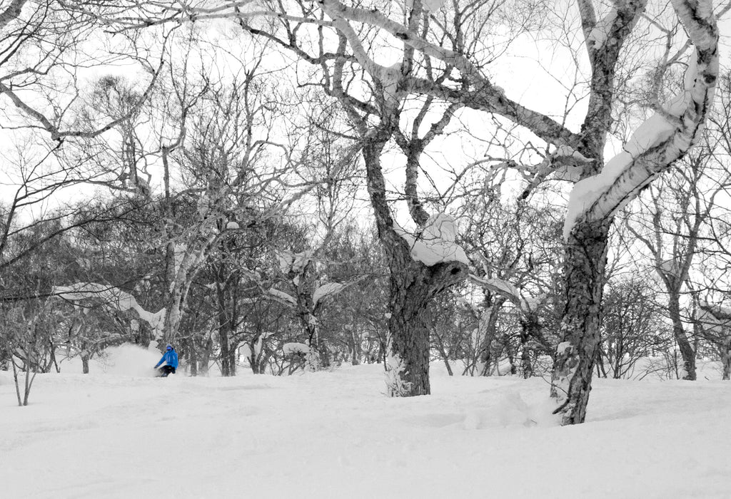 Powder Run