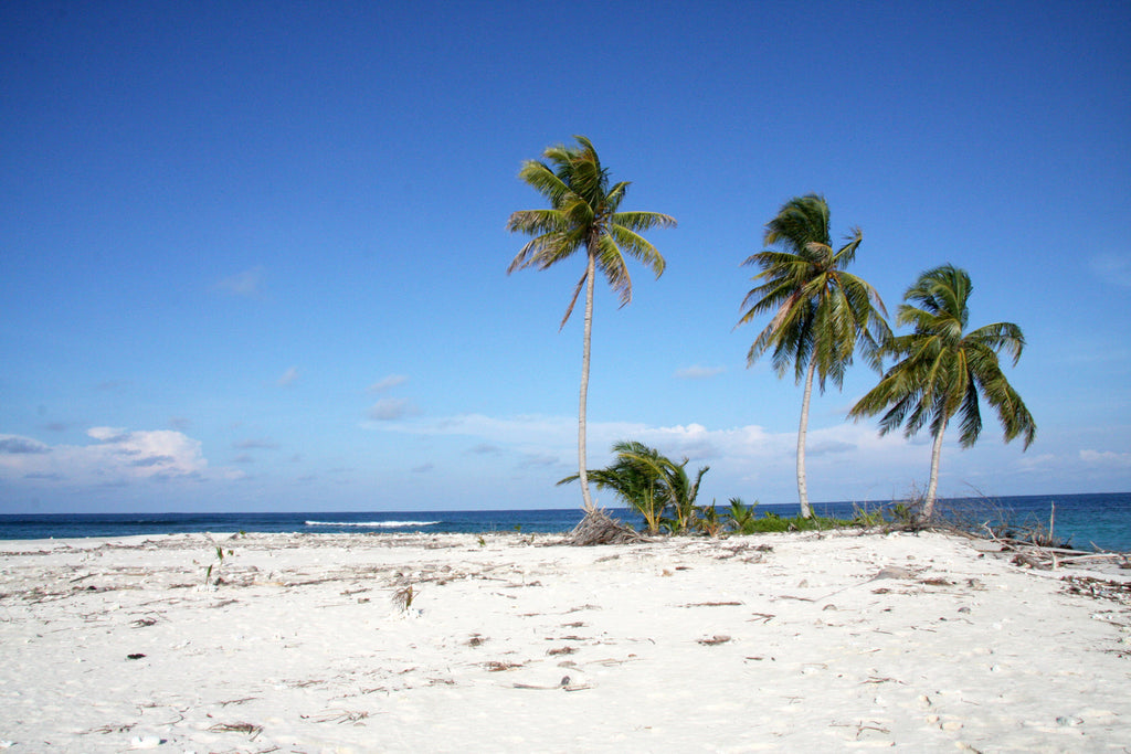 Island Serenity