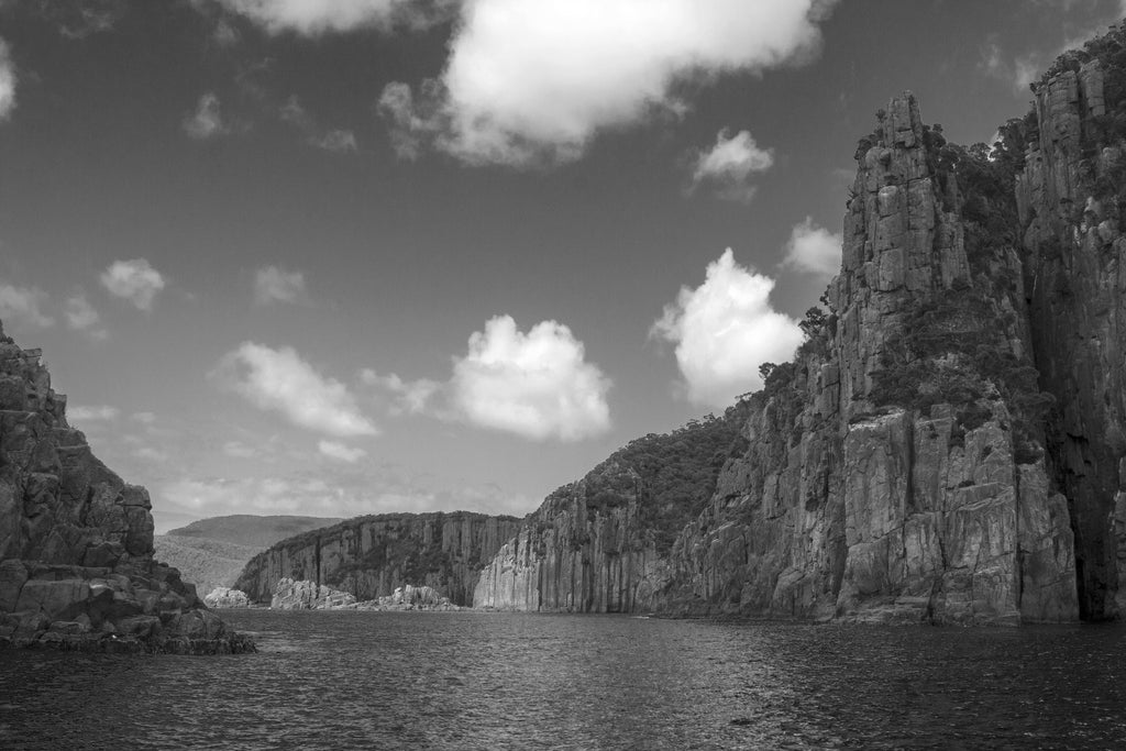 Tasman Cliff Seascape