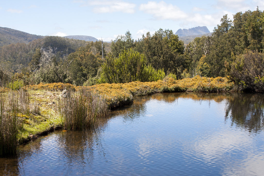 Cradle Mountain from afar